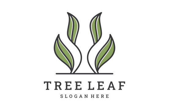 Tree leaf vector logo template. Vegan symbol, eco logo. Leaf and natural logo concept.