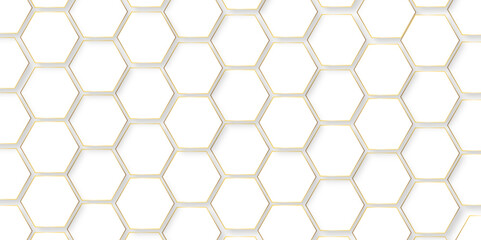 Abstract background with hexagon Background with white and black lines 3d Hexagonal structure futuristic white background and Embossed Hexagon , honeycomb white Background ,light and shadow ,Vector.