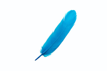 Delicate blue bird feather with texture © Veronica
