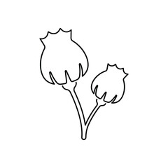 Opium flower icon design. isolated on white background. vector illustration