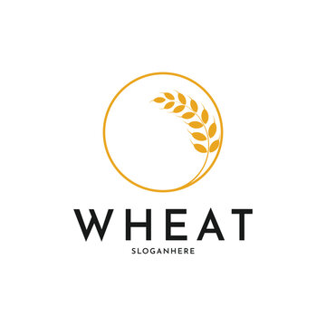 Circle wheat agriculture logo design creative idea
