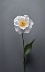 A single flower on grey background, copy space. Generative AI.