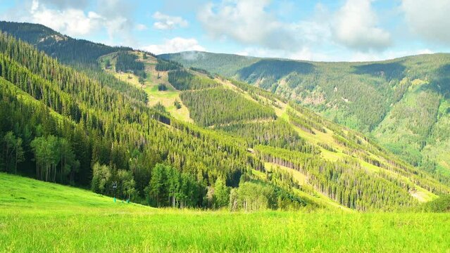 Beaver Creek Grouse mountain at Vail resorts ski slopes pov point of view walking handheld shot in summer with aspen pine tree meadow, Colorado