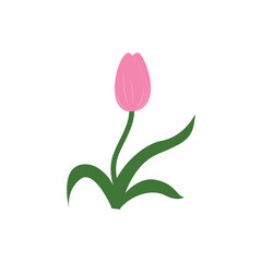tulip logo icon