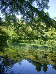 Kumobaike pond and beautiful reflection of trees in Japan Karuizawa 