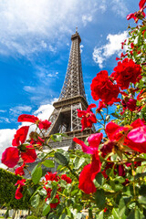 The Eiffel Tower and red roses in Paris, France in a sunny summer day