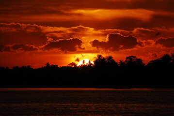 Obraz premium Scenic view dramatic beautiful sunset sky. Natural Sunset Sunrise on meadow silhouette shadow dark land. Vibrant dramatic sky on sunset, dawn, sunrise in Countryside. Landscape Colorful Sky At Sunset