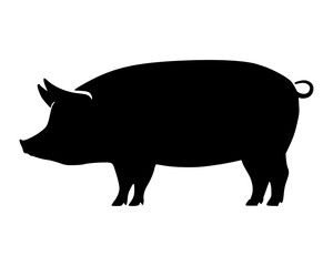 Schwein