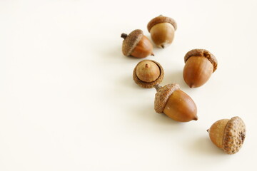 Acorns pattern on white background with copy space. Autumn backdrop. Poster