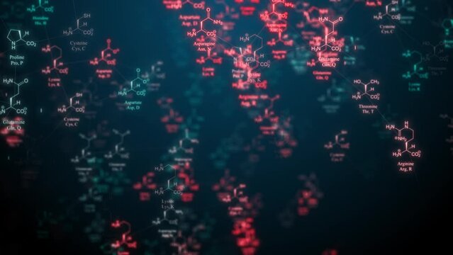 Amino acids, the protein building blocks essential for cells and tissues