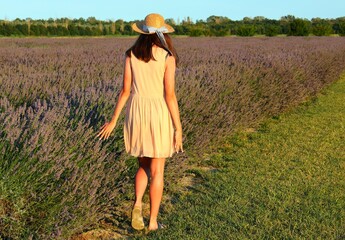 gilr on the field with lavender flowers in summer