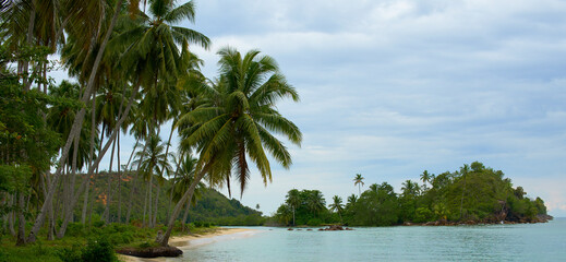 untouched beach  with coco palms on sandy beach and blue sea. Summer vacation and tropical in west sumatra indonesia