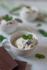 sweet home made straciatella mint ice cream