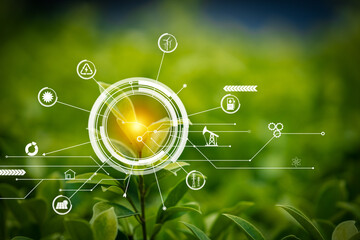 Nature with energy power icons. Energy power electric environment from nature concept.