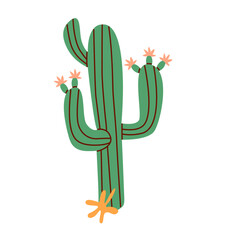 Desert plant, cactus with thorns. Exotic cacti with spines and flowers. Colored flat simple vector illustration.