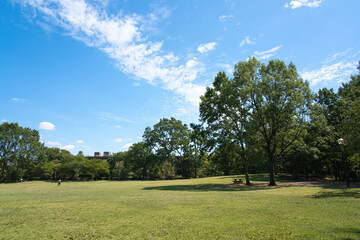 Park with full of green in Summer time