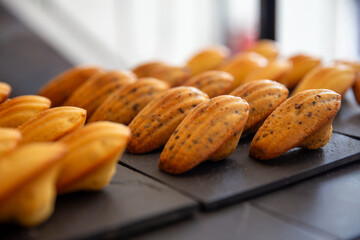 Freshly made Madeleines