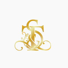 S&T Letter Luxury Logo Design. Creative Modern