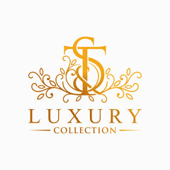 S&T Letter Luxury Logo Design. Creative Modern