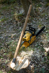 equipment of a wood cutters in a forest