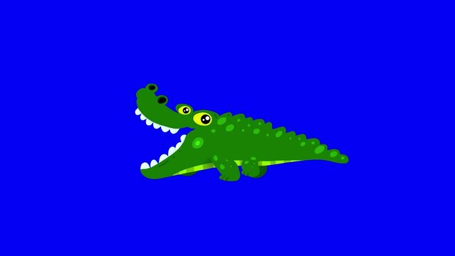 Alligator crocodile cartoon animal, animation character bluebox. Blinking eyes, opening maw mouth, seamless loop walking isolated.

