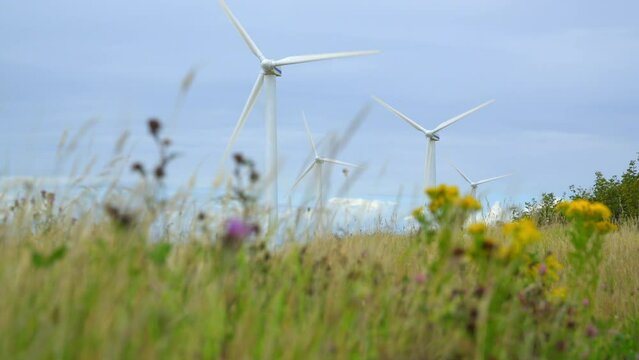 Wind turbines low approach through grass and blooming weeds. Half speed slow motion.
