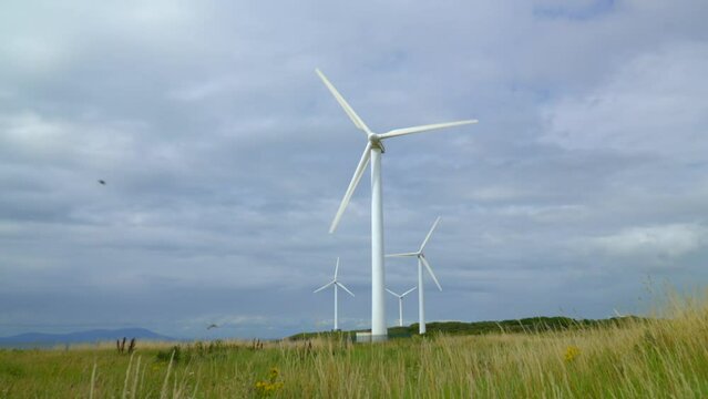 Rise up from grass level revealing rotating wind turbines against cloudy summer sky with bumblebee buzzing in and out of frame. Half speed slow motion.