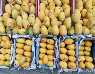 Mangos in the market. 