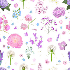 Seamless background of different flowers. Vector illustration