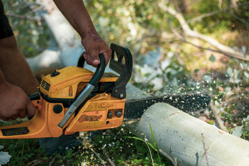 a chainsaw cutting the the wood in a close up