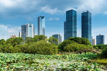 Obraz premium spring park and modern city