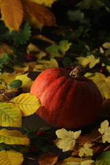 Naklejka na ściany i meble A pumpkin and bright autumn leaves still life