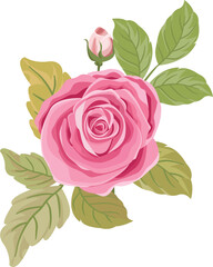 clipart of a bouquet of pink roses and leaves