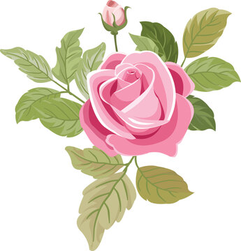 clipart of a bouquet of pink roses and leaves