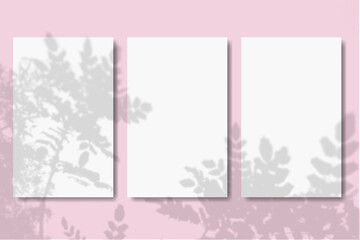 Natural light casts shadows from the plant on 3vertical rectangles sheets of white paper lying on a pink background. Mockup