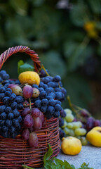 Various grapes and fruits in a basket