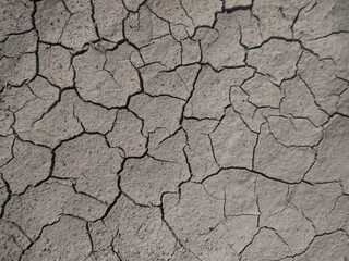 Dry cracked earth. Gray background with cracks.