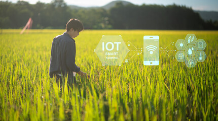 Smart Farming with IoT Rice Farming with Infographics Smart agriculture and precision agriculture...