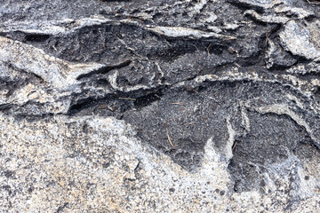 A close-up shot of the surface of a wild stone
