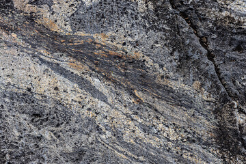 A close-up shot of the surface of a wild stone
