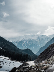 Fototapeta na wymiar Beautiful winter landscape with snow covered trees and mountains in Kashmir.