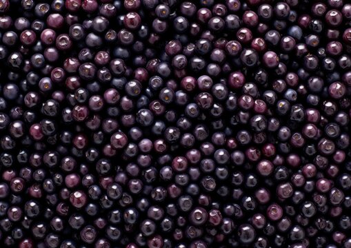 Professional photography of Pattern of Crowberries fruits. Generative AI