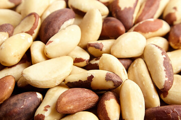 Brazil nuts closeup background. Shelled brazil nuts