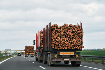 A timber truck transports logs along a highway. Rearview of a trailer full of wood logs....