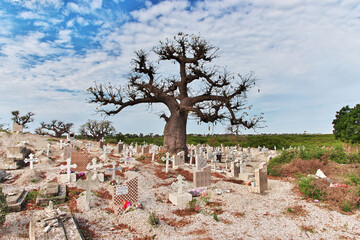 The baobab in the cemetry on Fadiouth island, Senegal