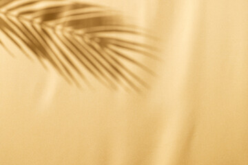 Close up of shadow of palm leaf and copy space on yellow background