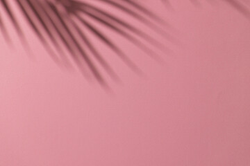 Close up of shadow of palm leaf and copy space on pink background