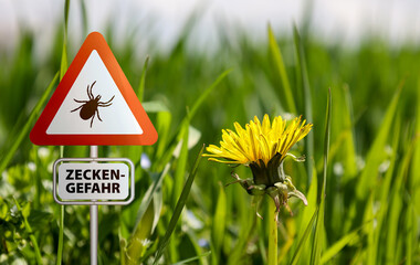 Tick insect warning sign . Lyme disease and tick-borne meningitis (meningoencephalitis) transmitter - obrazy, fototapety, plakaty