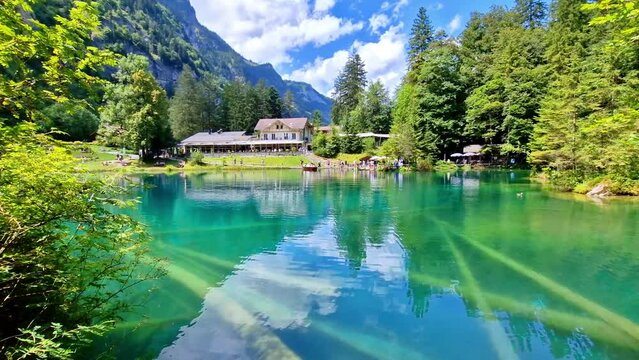 Cinematic 4 Set of Blausee Lake Nature 4K Featuring Panoramic Alpine Views Crystal Clear Emerald Water Underwater Logs and Black Trout Swimming Fairytale Swiss Alps Series Switzerland