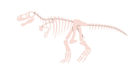 Dinosaur skeleton. Tyrannosaurus rex fossils. Old extinct animal, trex bones and skull profile. Ancient dino predator, prehistoric remains. Flat vector illustration isolated on white background © Good Studio